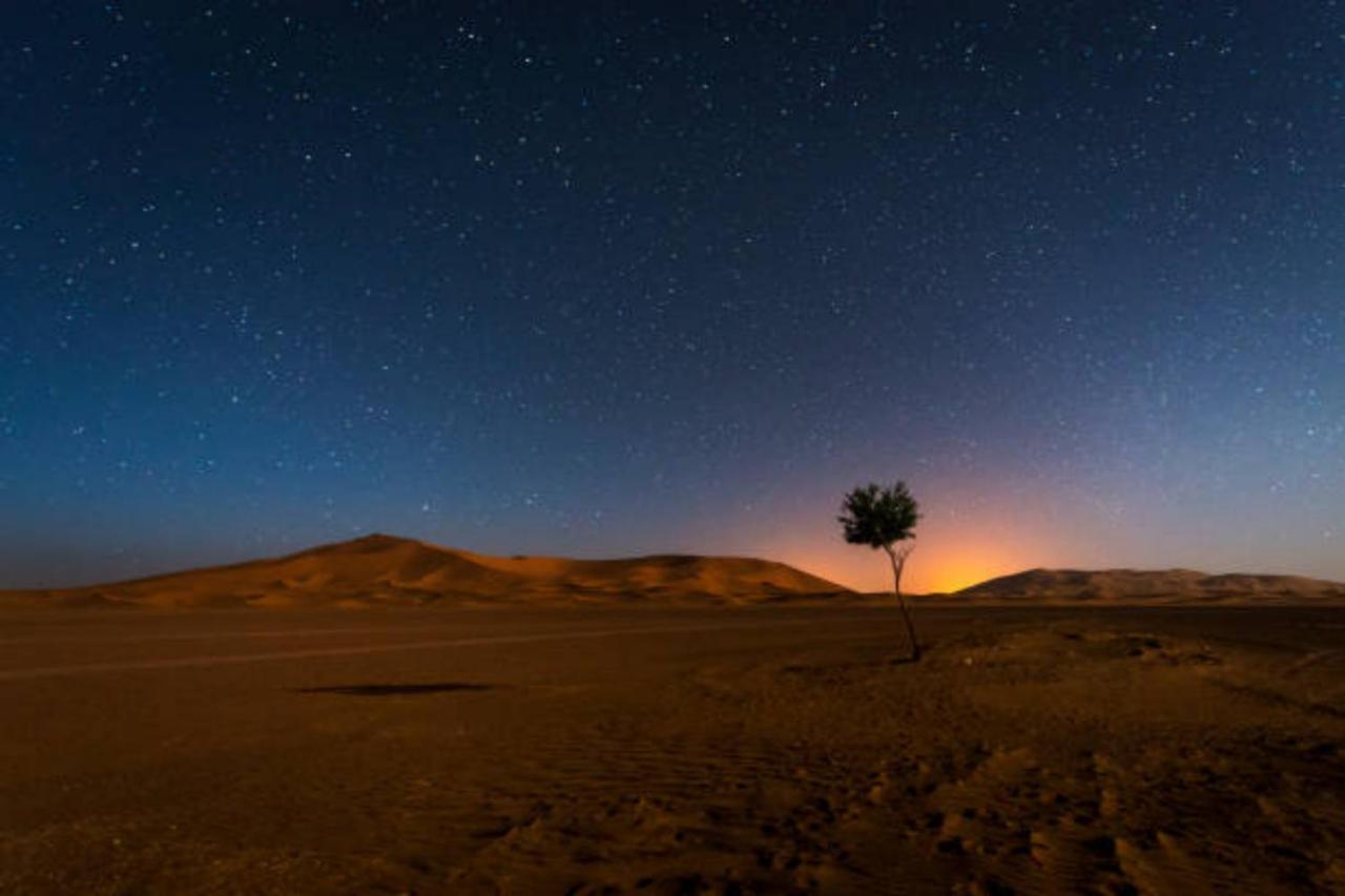 מרזאוגה Desert Paradise Luxury Camp מראה חיצוני תמונה
