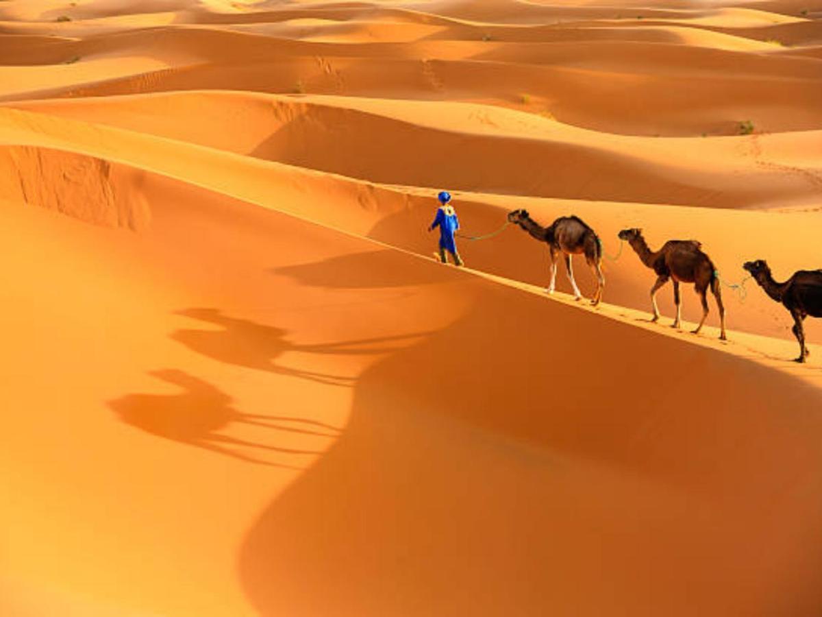 מרזאוגה Desert Paradise Luxury Camp מראה חיצוני תמונה