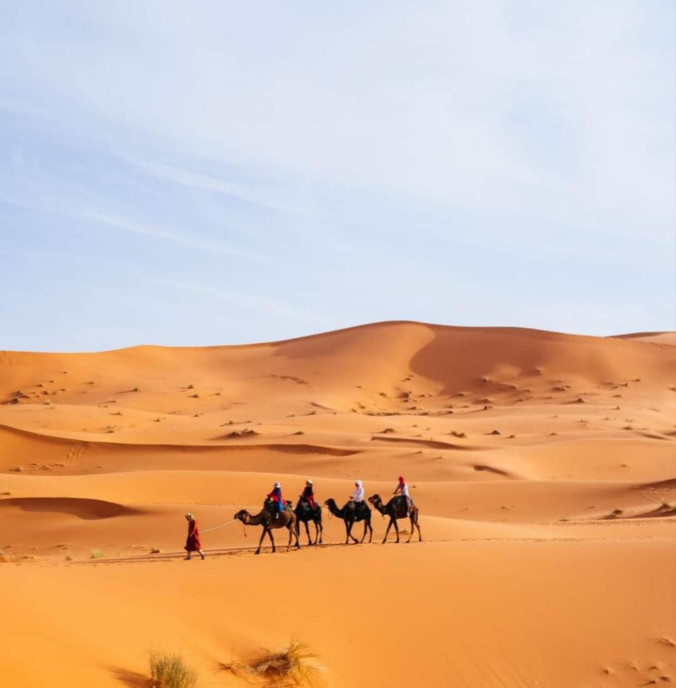 מרזאוגה Desert Paradise Luxury Camp מראה חיצוני תמונה